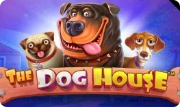 Vipsta – The Dog House